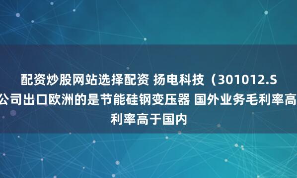 配资炒股网站选择配资 扬电科技（301012.SZ）：公司出口欧洲的是节能硅钢变压器 国外业务毛利率高于国内