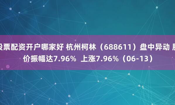 股票配资开户哪家好 杭州柯林（688611）盘中异动 股价振幅达7.96%  上涨7.96%（06-13）