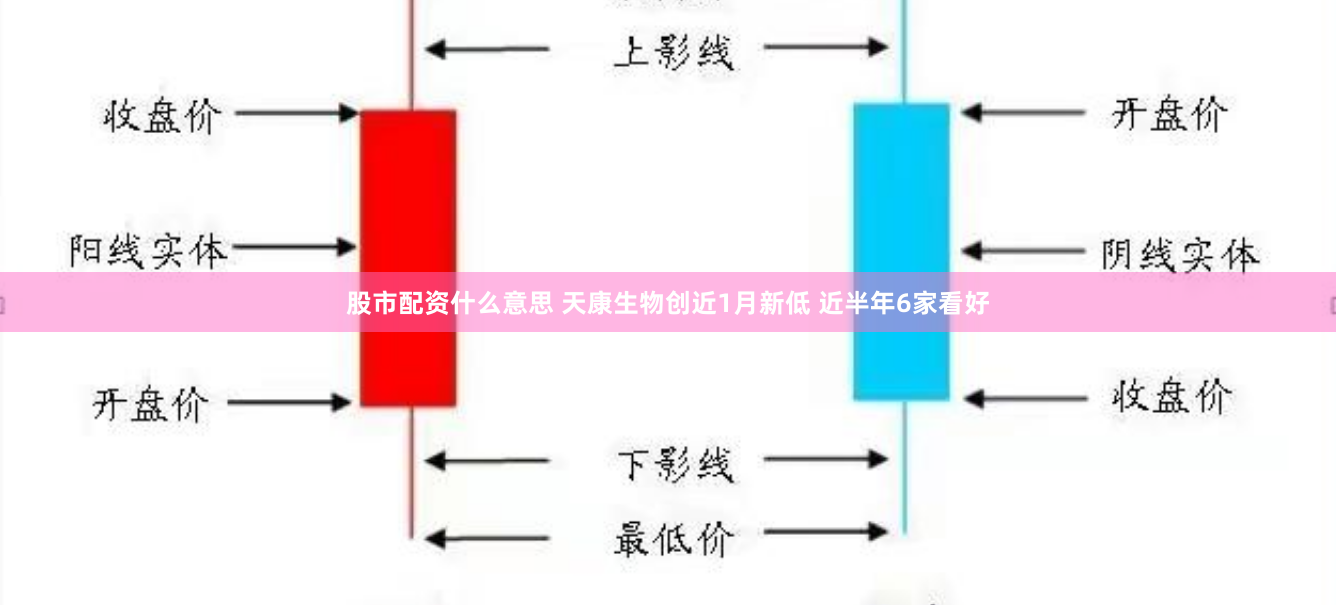 股市配资什么意思 天康生物创近1月新低 近半年6家看好