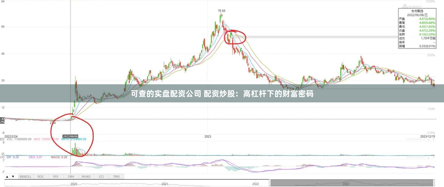 可查的实盘配资公司 配资炒股：高杠杆下的财富密码