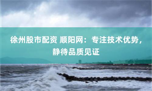 徐州股市配资 顺阳网：专注技术优势，静待品质见证