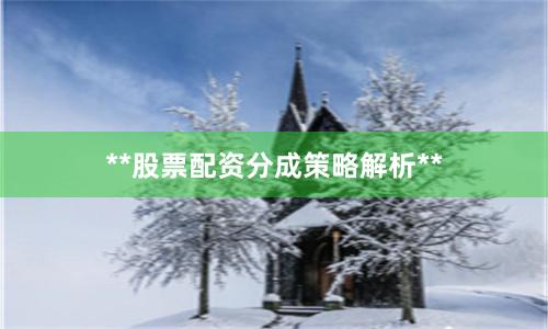 **股票配资分成策略解析**